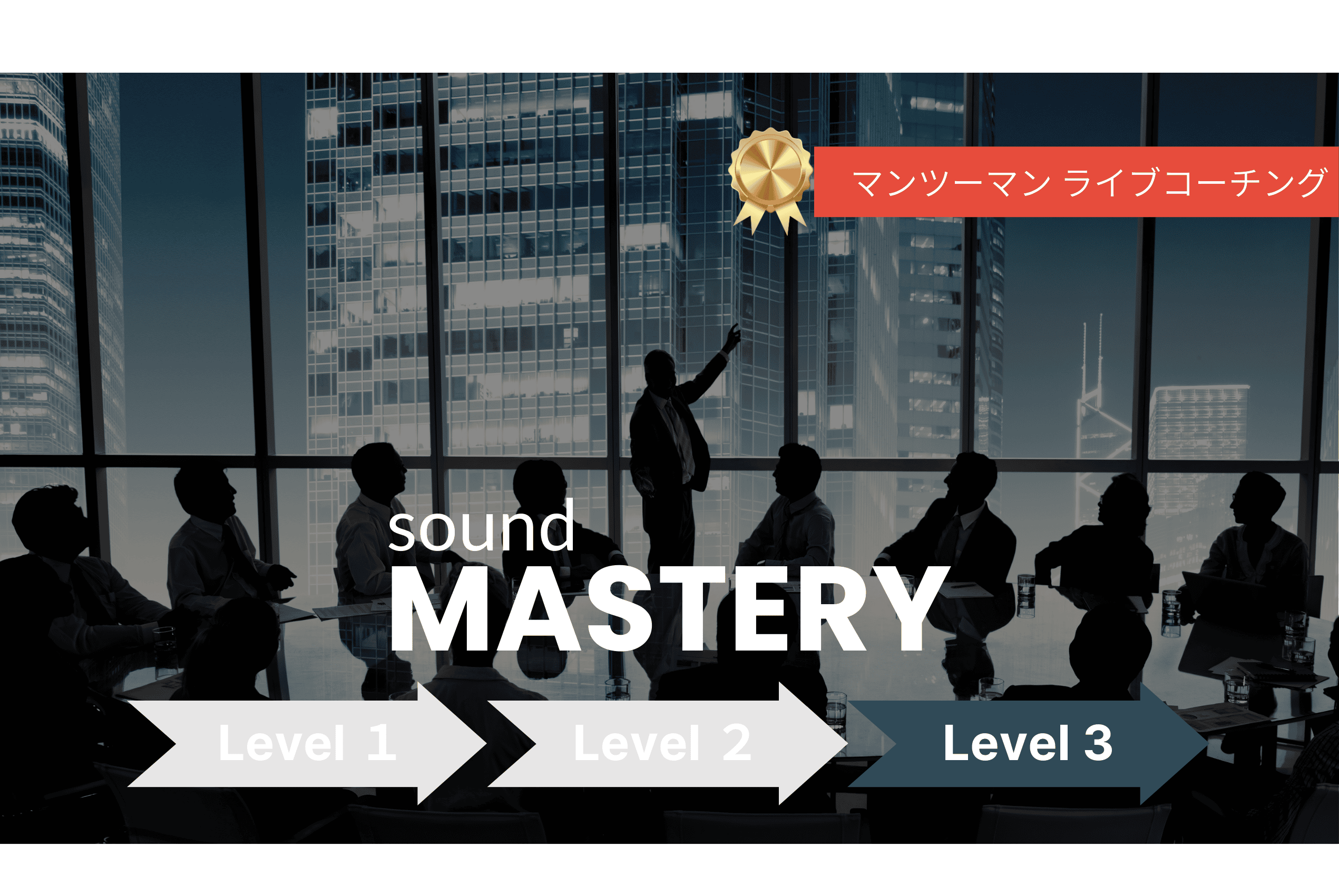 【Level 3】MASTERY マンツーマン・ライブコーチング